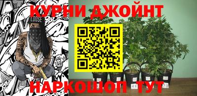 шишки Апрелевка